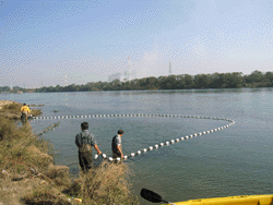 地曳網魚類採集