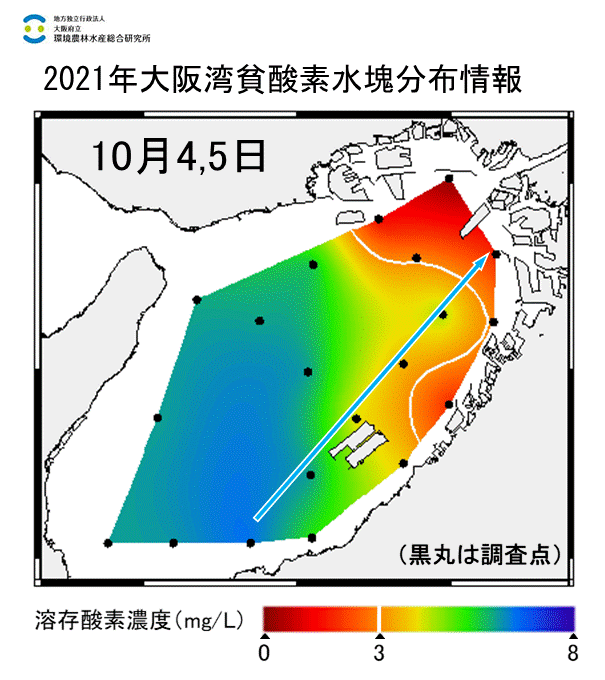 10月4,5日 湾奥部、湾東部で貧酸素水塊が確認された