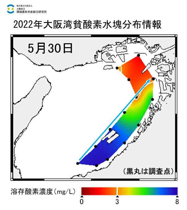 2022年5月30日調査　湾奥部で貧酸素水塊が確認されました。