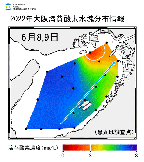 2022年6月8,9日調査　湾奥部で貧酸素水塊が確認されました。