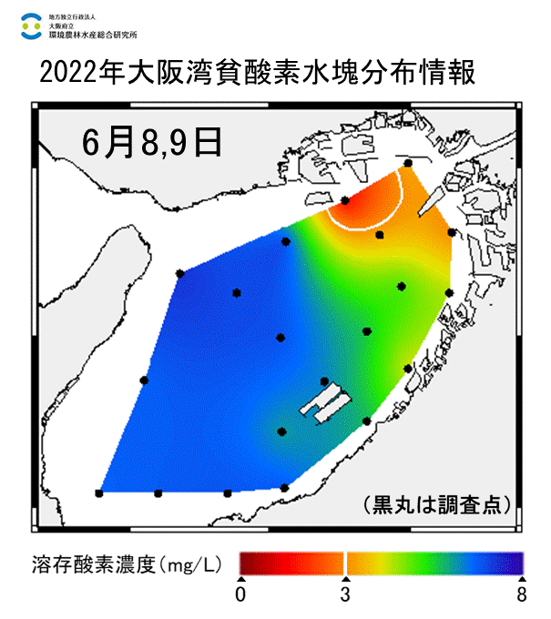 2022年6月8,9日調査　湾奥部で貧酸素水塊が確認されました。