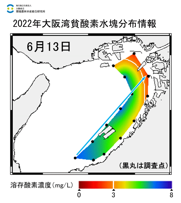 2022年6月13日調査　湾奥部で貧酸素水塊が確認されました。