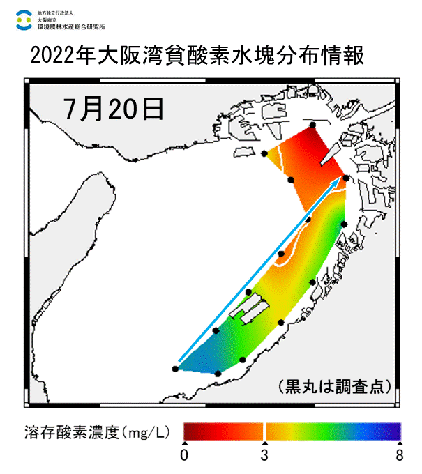 2022年7月20日調査　湾奥部で貧酸素水塊が確認されました。