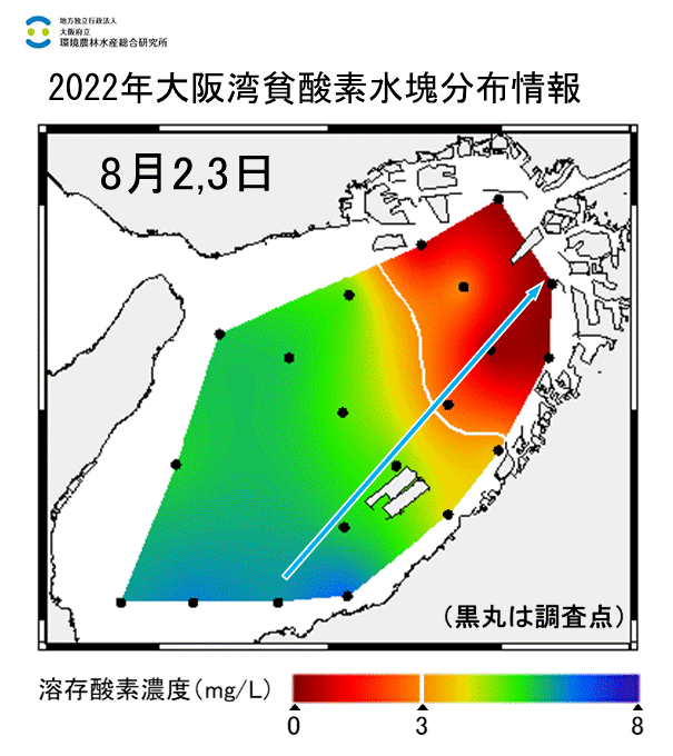 2022年8月2日調査　湾奥部で貧酸素水塊が確認されました。