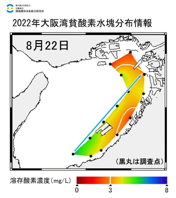 2022年8月22日調査　湾奥部、湾東部で貧酸素水塊が確認されました。
