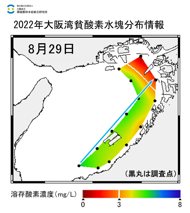 2022年8月29日調査　湾奥部で貧酸素水塊が確認されました。