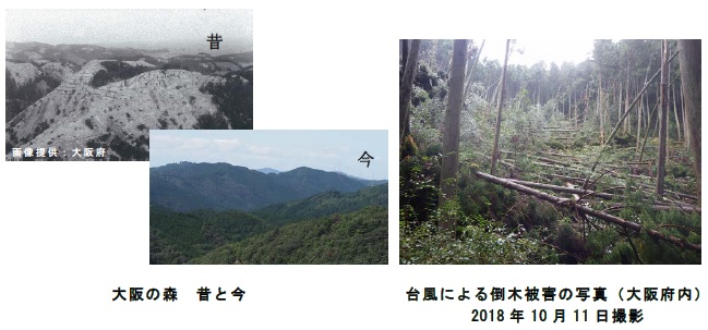 第2回企画展「大阪の森と私たちの暮らし」