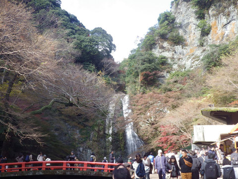 多くの観光客が訪れる箕面の滝