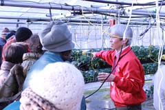 中空構造栽培層を使用したイチゴ栽培の見学