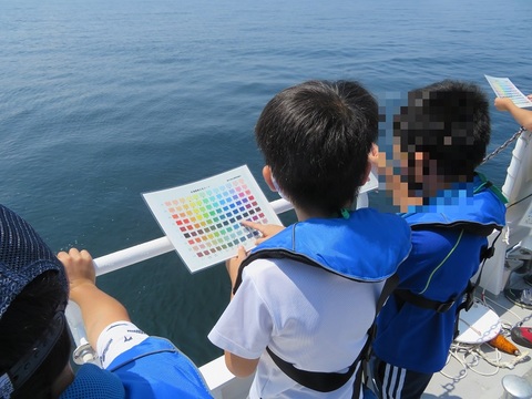 海の色を観察しました