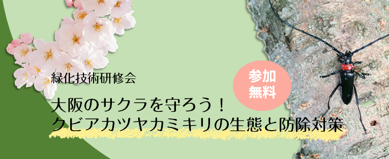 緑化技術研修会　大阪のサクラを守ろう！クビアカツヤカミキリの生態と防除対策